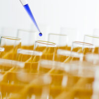 SPU’s response to COVID-19