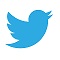 Twitter icon