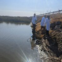 Groundbreaking research unveils antibiotic-resistant bacteria in Kimberley’s wastewater
