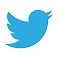 Twitter icon